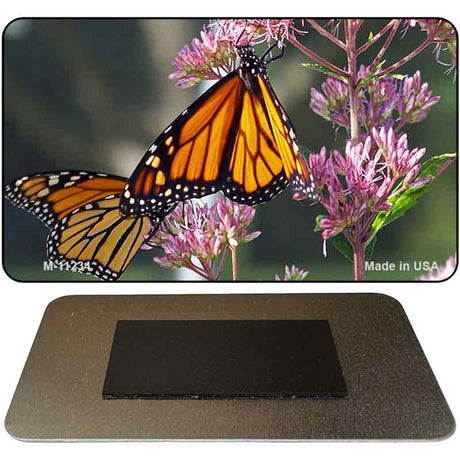 Butterfly Monarch On Flower Novelty Magnet M-11234