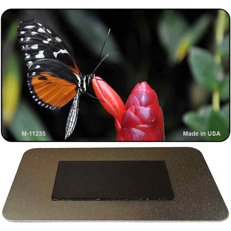 Butterfly On Red Flower Novelty Magnet M-11235