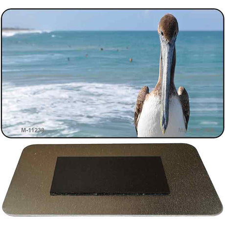 Pelican Ocean Novelty Magnet M-11238