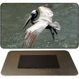 Pelican In Flight Novelty Magnet M-11239