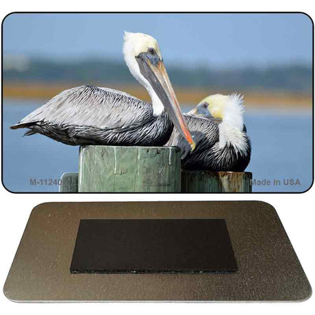 Pelican Two On Pier Novelty Magnet M-11240