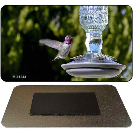 Hummingbird At Feeder Novelty Magnet M-11244