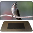 Hummingbird Perched On Branch Novelty Magnet M-11246