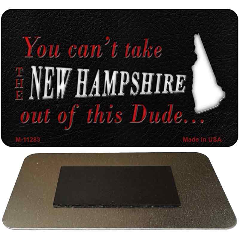 New Hampshire Dude Magnet Novelty Metal M-11283