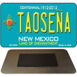 Taosena Teal New Mexico Novelty Metal Magnet M-11650