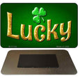 Lucky Irish Novelty Metal Magnet M-11739