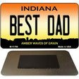 Best Dad Indiana Amber Novelty Metal Magnet