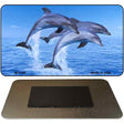 Dolphins Novelty Metal Magnet M-1186