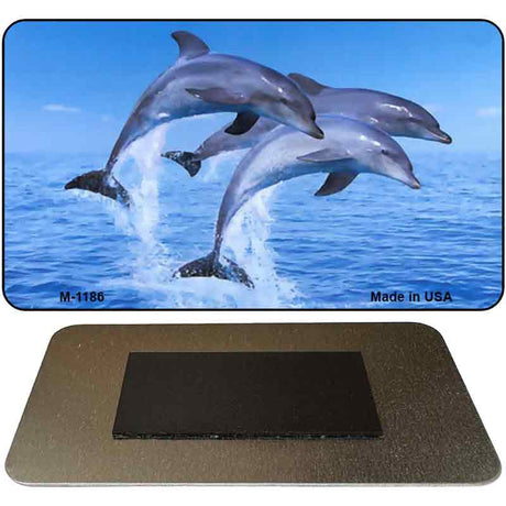 Dolphins Novelty Metal Magnet M-1186