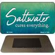 Saltwater Cures Everything Novelty Metal Magnet M-11888