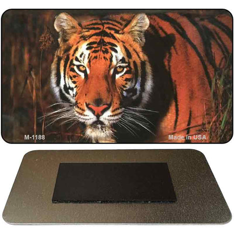 Tiger Novelty Metal Magnet M-1188