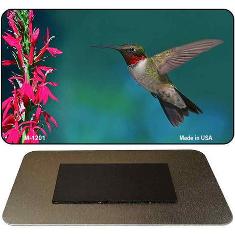 Hummingbird Novelty Metal Magnet M-1201