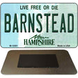 Barnstead New Hampshire State Novelty Metal Magnet M-12081