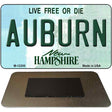 Auburn New Hampshire Novelty Metal Magnet M-12200