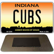 Cubs Indiana Novelty Metal Magnet M-12280