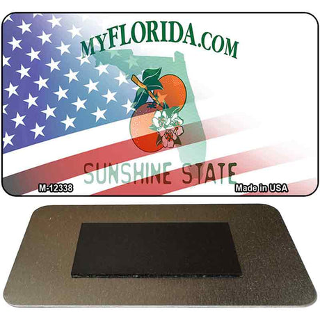 Florida with American Flag Novelty Metal Magnet M-12338