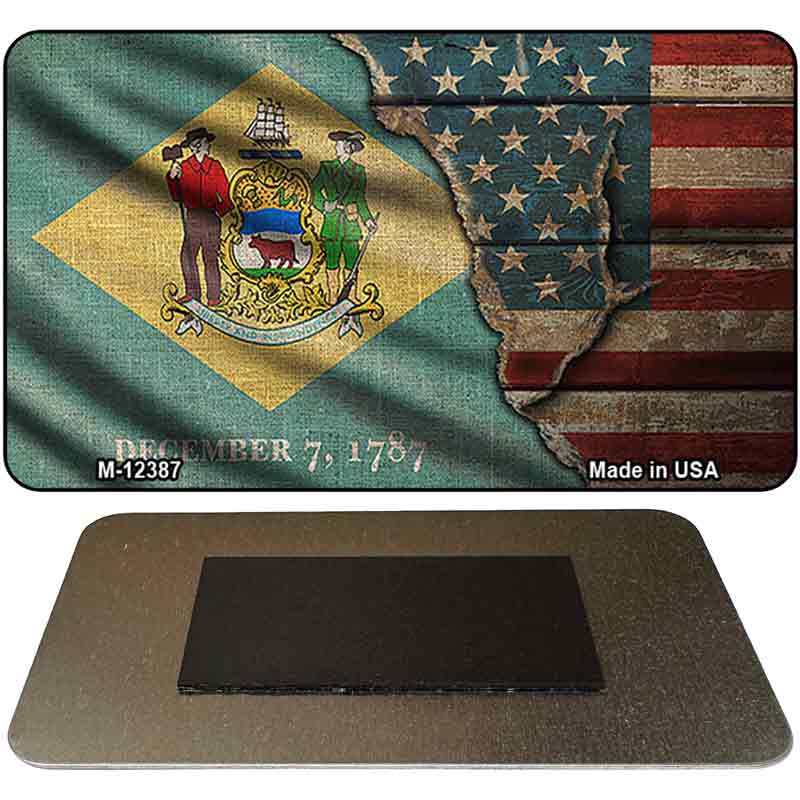 Delaware/American Flag Novelty Metal Magnet M-12387