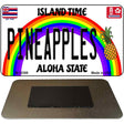 Pineapples Novelty Metal Magnet M-12588