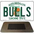 Bulls Novelty Metal Magnet M-12721