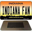 Indiana Fan Novelty Metal Magnet M-12752