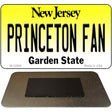 Princeton Fan Novelty Metal Magnet M-12886