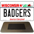 Badgers Novelty Metal Magnet M-13122