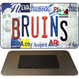 Bruins Strip Art Novelty Metal Magnet M-13241