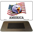 American Eagle Novelty Metal Magnet M-133