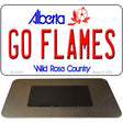 Go Flames Novelty Metal Magnet M-13555