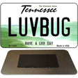 Love Bug Novelty Metal Magnet M-13645