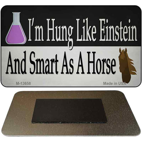 Hung Like Einstein Novelty Metal Magnet M-13658