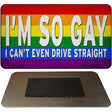 Im So Gay Novelty Metal Magnet M-13742