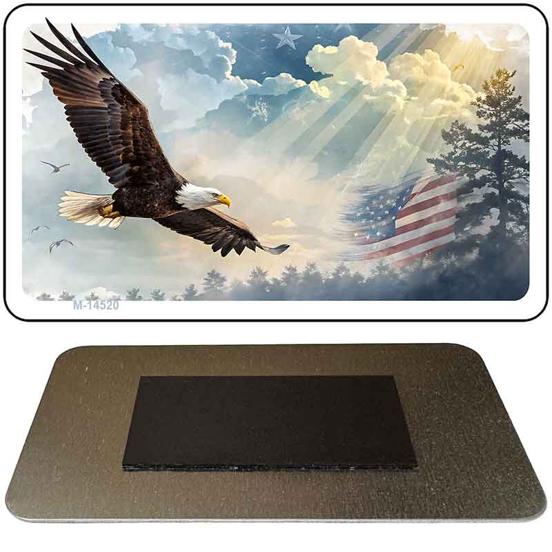 Sunrays & Eagle Novelty Metal Magnet M-14520
