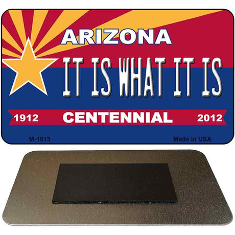 It Is What It Is Arizona Centennial State License Plate Tag Magnet M-1813