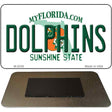 Dolphins Florida State Novelty Metal Magnet M-2039