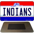 Indians Ohio State License Plate Tag Magnet M-2074