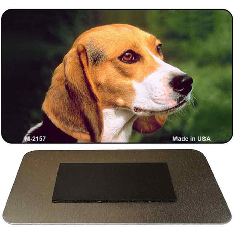 Beagle Novelty Metal Magnet M-2157