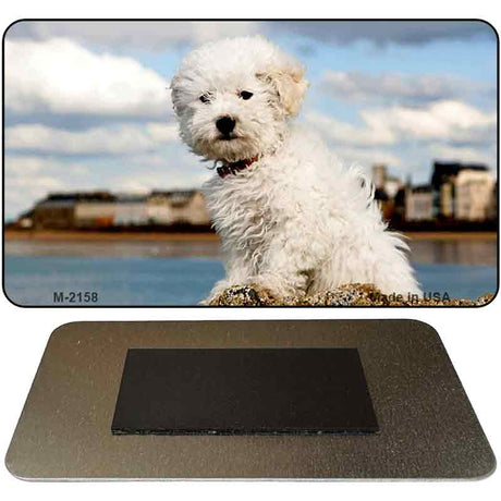 Bichon Frise Novelty Metal Magnet M-2158