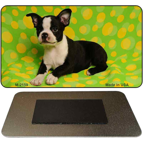 Boston Terrier Novelty Metal Magnet M-2159