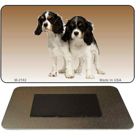 Cavalier King Charles Spaniel Novelty Metal Magnet M-2162