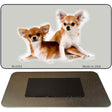 Chihuahua Novelty Metal Magnet M-2163