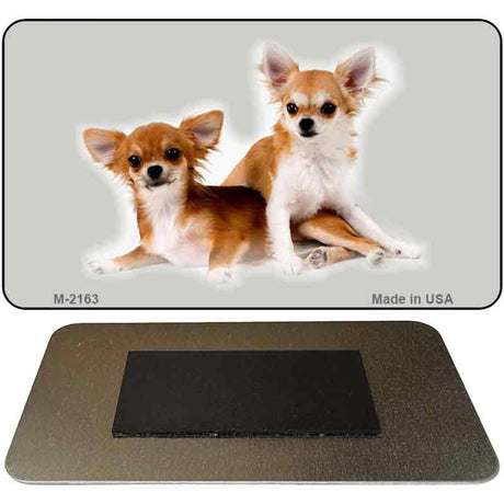 Chihuahua Novelty Metal Magnet M-2163