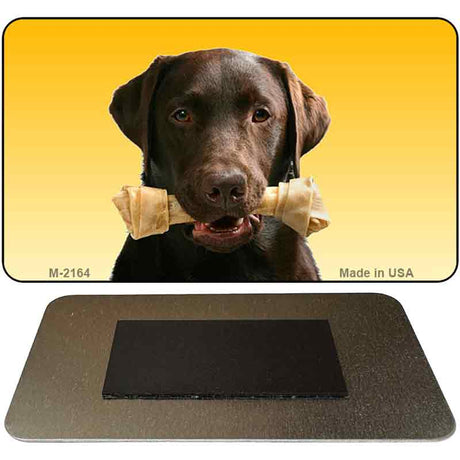 Chocolate Lab Novelty Metal Magnet M-2164