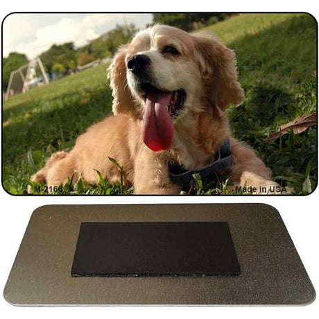 Cocker Spaniel Novelty Metal Magnet M-2166