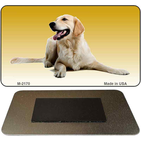 Golden Retriever Novelty Metal Magnet M-2170