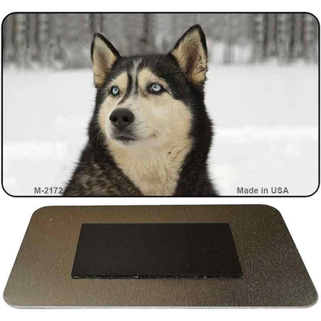 Husky Novelty Metal Magnet M-2172