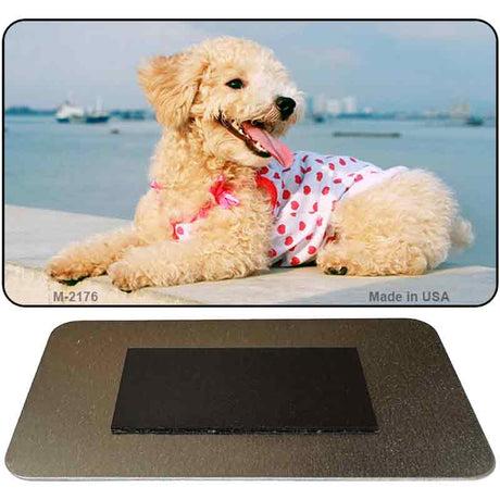 Poodle Novelty Metal Magnet M-2176