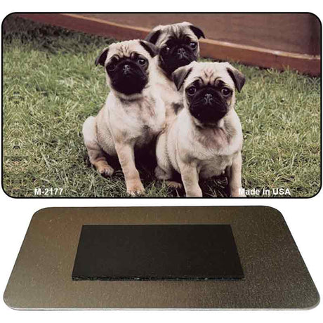 Pug Novelty Metal Magnet M-2177