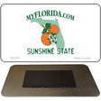 Florida State Blank Novelty Metal Magnet M-2224