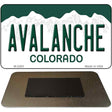 Avalanche Colorado State Novelty Metal Magnet M-2283